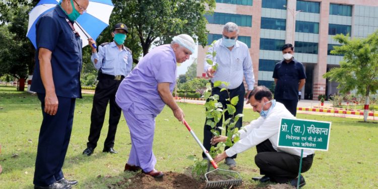 AIIMS निदेशक प्रो रवि कांत पौधे रोपण करते हुए