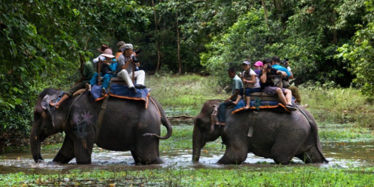 नेपाल में हाथी की सवारी कराने वाले लोग भारत में अवैध तरीके से बेच रहे जानवर