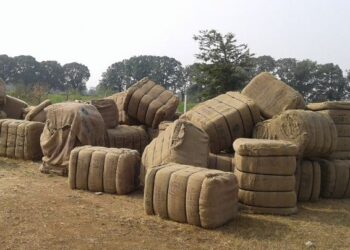 छत्तीसगढ़ : पुराने बारदाने ला सकेंगे किसान, खाद्य मंत्री बोले- कमी के कारण लिया गया फैसला