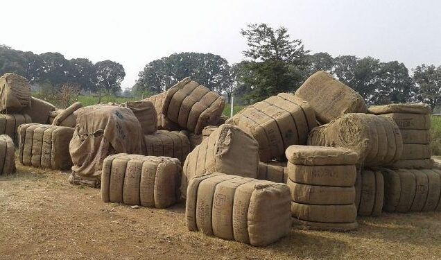 छत्तीसगढ़ : पुराने बारदाने ला सकेंगे किसान, खाद्य मंत्री बोले- कमी के कारण लिया गया फैसला