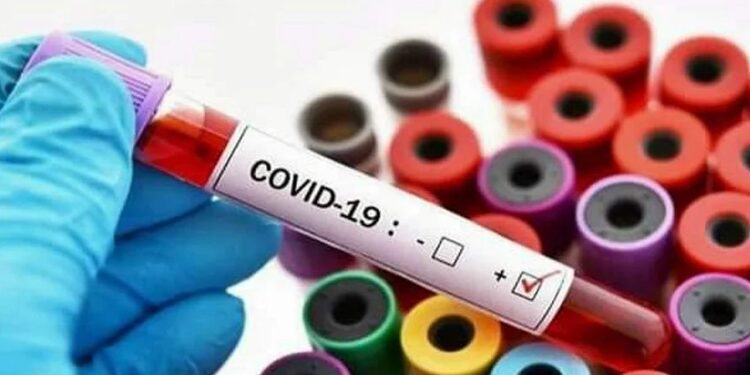 उत्तराखंड : विधानसभा चुनाव में सुरक्षा के लिए पहुंची BSF के 30 जवान कोरोना पॉजिटिव, मचा हड़कंप