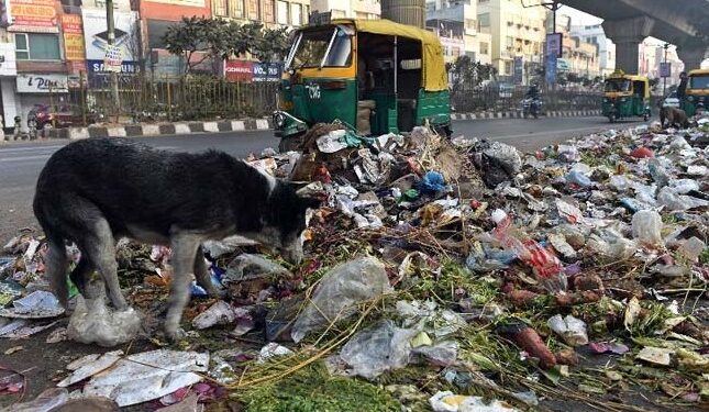 ट्विटर पर शिकायत कर एसडीएमसी से साफ करवा सकते हैं कूड़े-कचरे