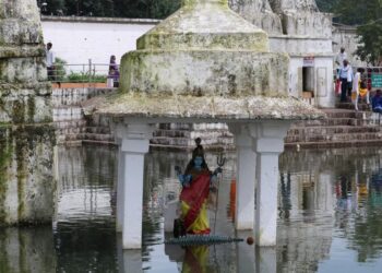 शब्द-शब्द आपके भीतर उतर आएगा ‘नर्मदा का सौन्दर्य’