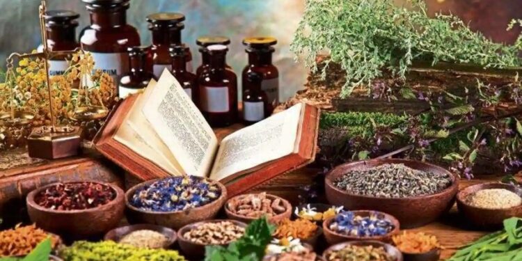 गेम चेंजर साबित होगी वैश्विक पारंपरिक औषधि केंद्र की भारत में स्थापना