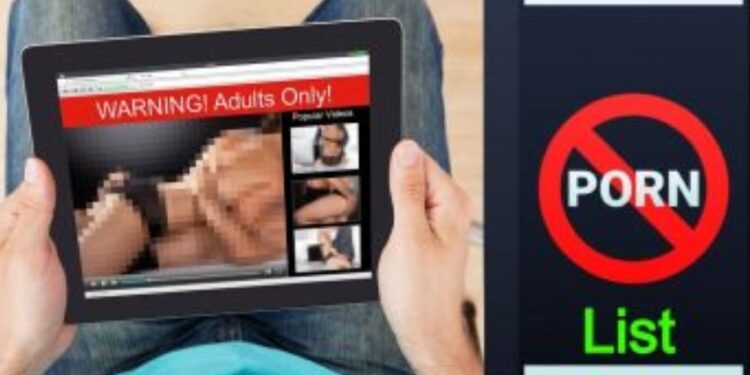 Porn Websites के खिलाफ सरकार का एक्शन, 67 वेबसाइट्स को किया ब्लॉक