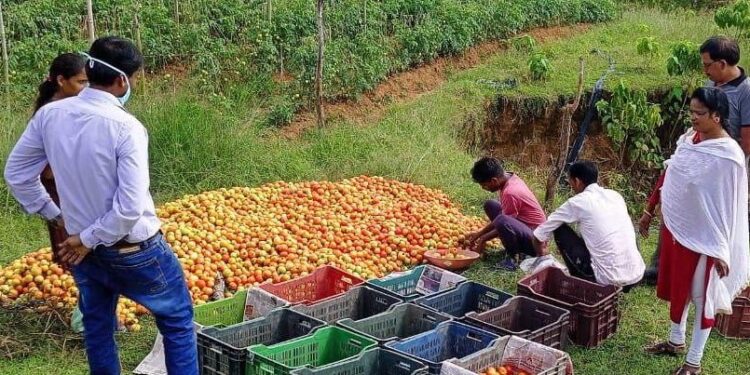 ग्रामीण क्षेत्र में बढ़ रही मांग से रोजगार के अवसरों में वृद्धि दृष्टिगोचर