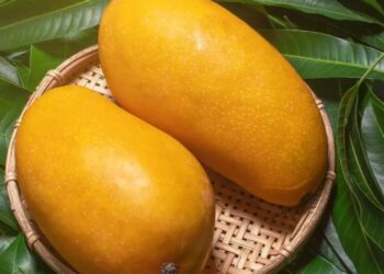 कैसे किसान ने उगाया एक ऐसा आम, जिसकी कीमत 18800 रुपये