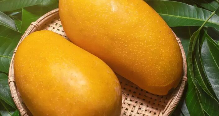 कैसे किसान ने उगाया एक ऐसा आम, जिसकी कीमत 18800 रुपये