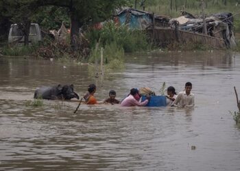 बाढ़ : जानिए इंसानी करतूतों ने कितनी बढ़ाई मुश्किलें!