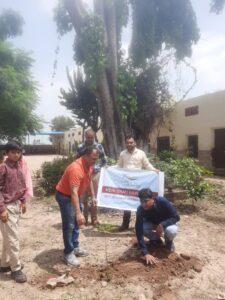 Tree plantation done in schools