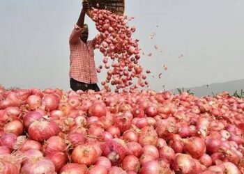 पेट्रोल नहीं प्याज से क्यों डरती हैं सरकारें! चुनावी फसल बिगाड़ देती है राजनीति