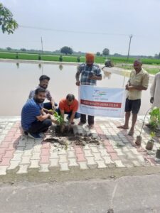 Tree plantation done in schools