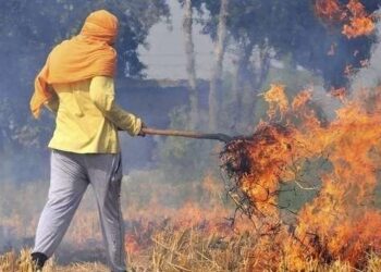 सुप्रीम कोर्ट बोले- हमें जवाब चाहिए, पराली जलना फिर क्यों शुरू हो गया?