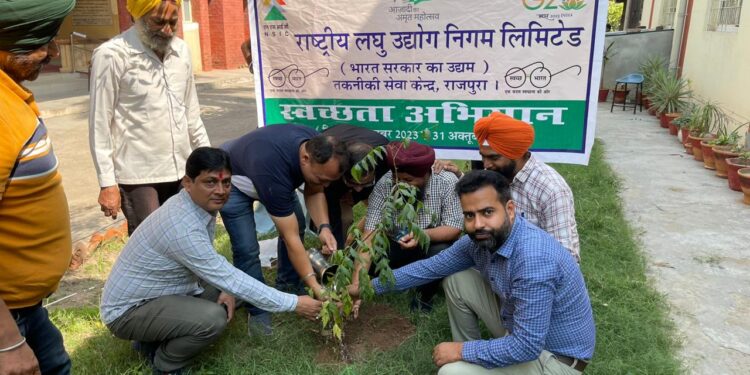 एन.टी.एस.सी. राजपुरा पंजाब परिसर में स्वच्छता अभियान के तहत हुआ वृक्षारोपण