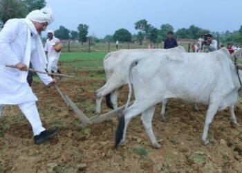 कर्ज लेकर भूपेश बघेल ने कराई खेती, जानिए सीएम पर कितना है लोन?