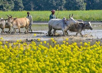 किसानों के लिए एक लाख करोड़ की योजनाएं मंजूर, जानिए कैसे मिलेगा लाभ