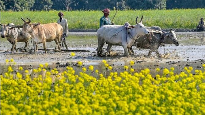 किसानों के लिए एक लाख करोड़ की योजनाएं मंजूर, जानिए कैसे मिलेगा लाभ