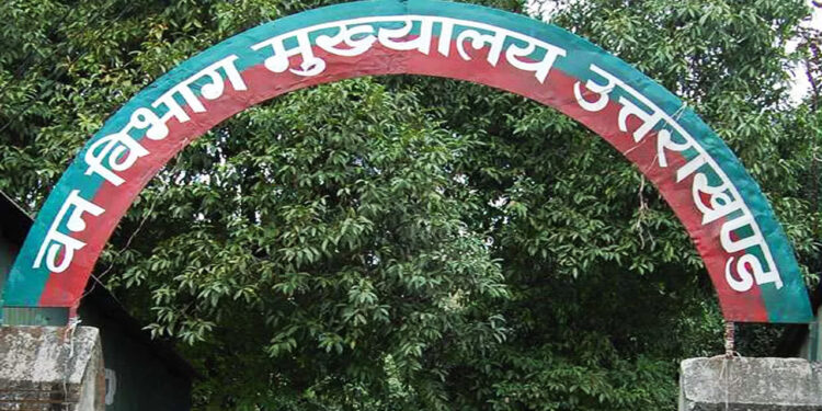 हाईकोर्ट के आदेश से वन विभाग में मचा हड़कंप