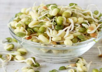 Health Benefits of Sprouts