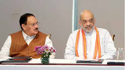 तीसरी लिस्ट में धड़ाधड़ टिकट काटेगी बीजेपी, इस राज्य में मचा सबसे ज्यादा बवाल तीसरी लिस्ट में धड़ाधड़ टिकट काटेगी बीजेपी, इस राज्य में मचा सबसे ज्यादा बवाल