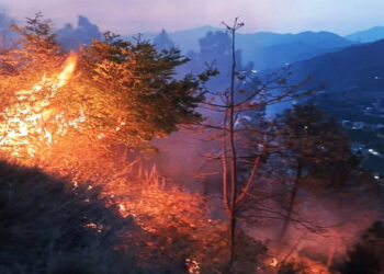 उत्तराखंड के कई क्षेत्र जंगल आग की चपेट में