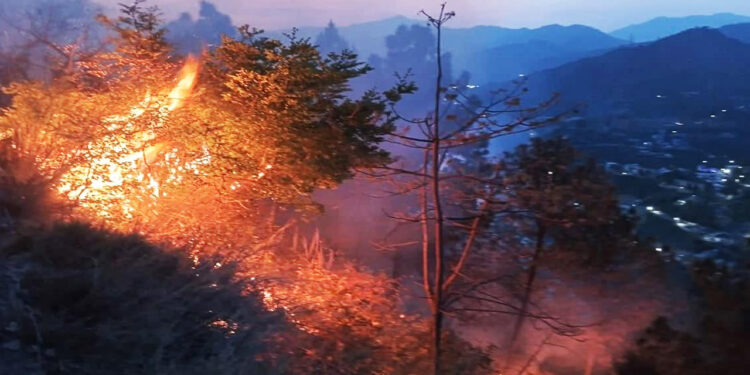 उत्तराखंड के कई क्षेत्र जंगल आग की चपेट में