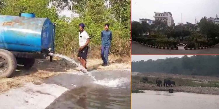 बढ़े तापमान से जंगली जानवरों का हुआ बुरा हाल