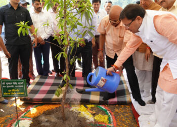 हरेला पर्व पर सीएम धामी ने शहीदों के नाम पर किया पौधारोपण