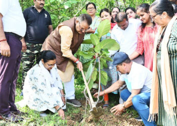 वृक्षारोपण के बाद मां की तरह पौधे ध्यान रखें : गणेश जोशी