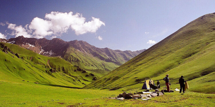 उच्च हिमालयी क्षेत्रों में 10 फीसदी घास के मैदानों पर बना खतरा