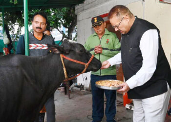 मंत्री जोशी ने नया गांव स्थित गौशाला में की गोवर्धन पूजा