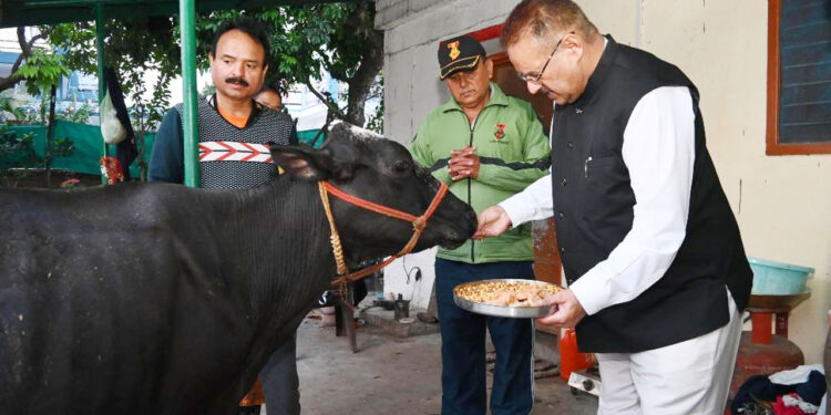 मंत्री जोशी ने नया गांव स्थित गौशाला में की गोवर्धन पूजा