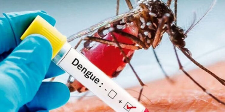 डेंगू संक्रमण के संभावित खतरे को लेकर एक्टिव मोड में स्वास्थ्य विभाग