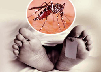 डेंगू से एक की मौत, प्रदेशभर में 18 मामले आए सामने