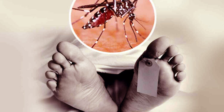 डेंगू से एक की मौत, प्रदेशभर में 18 मामले आए सामने