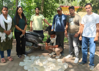 आबकारी विभाग ने कच्ची शराब के साथ एक को किया गिरफ्तार