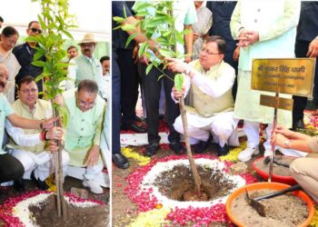 हरेला हमारी संस्कृति और चेतना का पर्व : सीएम धामी