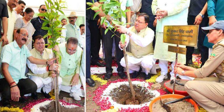 हरेला हमारी संस्कृति और चेतना का पर्व : सीएम धामी