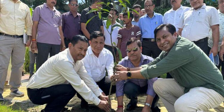 मसूरी-देहरादून विकास प्राधिकरण की हरियाली व सांस्कृतिक संरक्षण की नई पहल