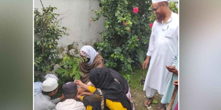 मदरसा फैजुल उलूम में हरेला पर्व हर्षोल्लास से मनाया गया