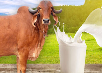 दूध की पैदावार और माइक्रोबायोम : भविष्य की डेयरी क्रांति