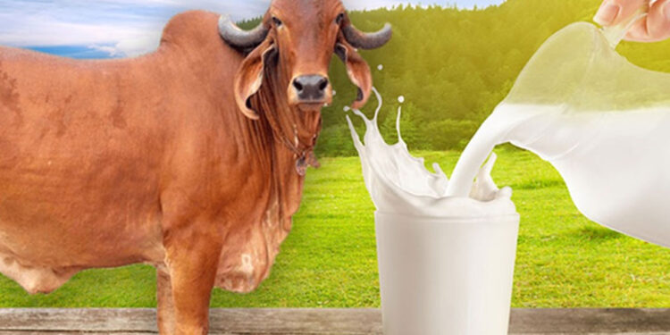 दूध की पैदावार और माइक्रोबायोम : भविष्य की डेयरी क्रांति