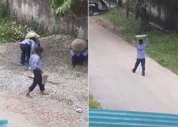 स्कूल में ‘बाल मज़दूरी’ कराना पड़ा भारी, प्रधानाचार्य निलंबित