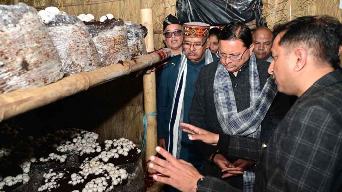 मुख्यमंत्री धामी ने किया विकसित ‘मशरूम ग्राम’ परियोजना का शुभारंभ