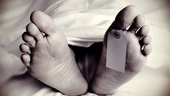 घास लेने गई महिला पर पत्थर गिरने से मौत