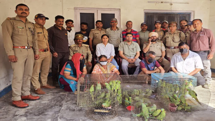 तोतों के साथ दो पुरुष दो महिला गिरफ्तार