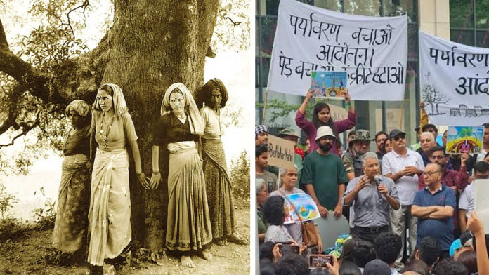 चिपको की धरती पर हरे पेड़ों के कटान का विरोध
