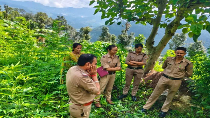 बीएलओ की आत्महत्या मामले में एसआईआर के काम के दबाव में जान देने की बात आई सामने